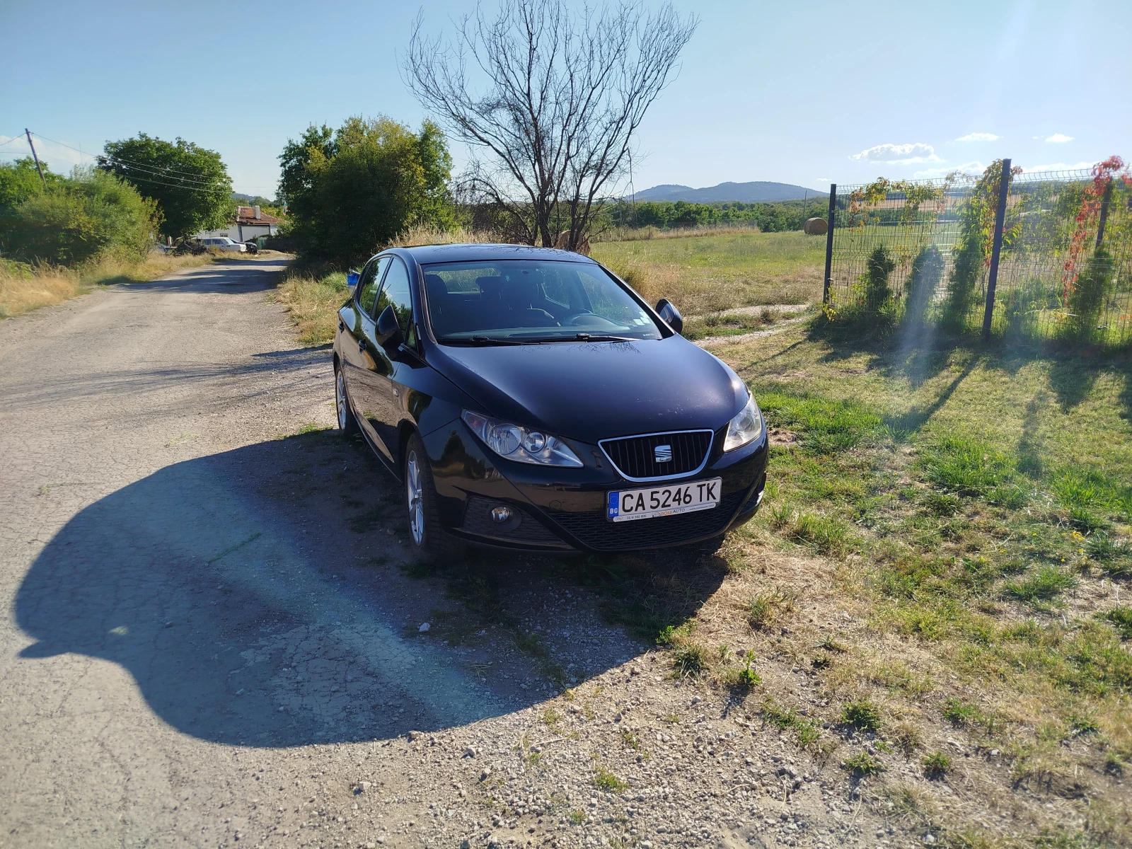 Seat Ibiza