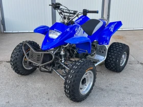     Yamaha Raptor APEX PRO SHARK 100