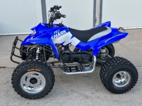 Yamaha Raptor APEX PRO SHARK 100 | Mobile.bg    3