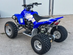 Yamaha Raptor APEX PRO SHARK 100 | Mobile.bg    4