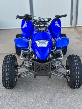 Yamaha Raptor APEX PRO SHARK 100 | Mobile.bg    2