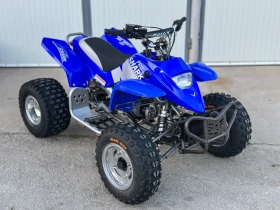 Yamaha Raptor APEX PRO SHARK 100 | Mobile.bg    6