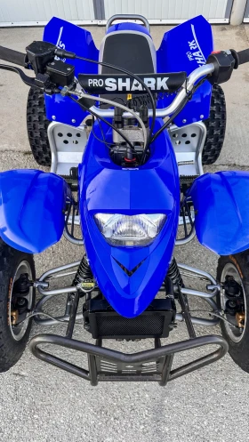 Yamaha Raptor APEX PRO SHARK 100 | Mobile.bg    5