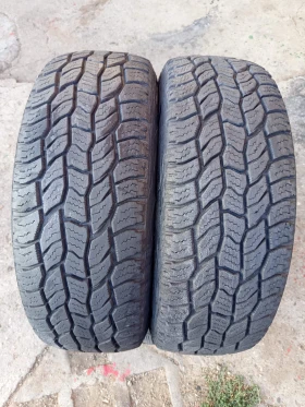���� 205/70R15 | Mobile.bg � ����� ������ 2