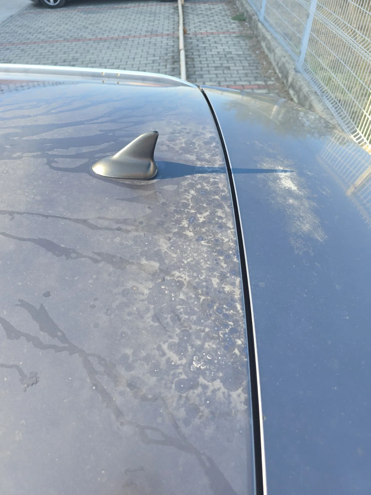 Opel Insignia, снимка 4 - Автомобили и джипове - 56119503
