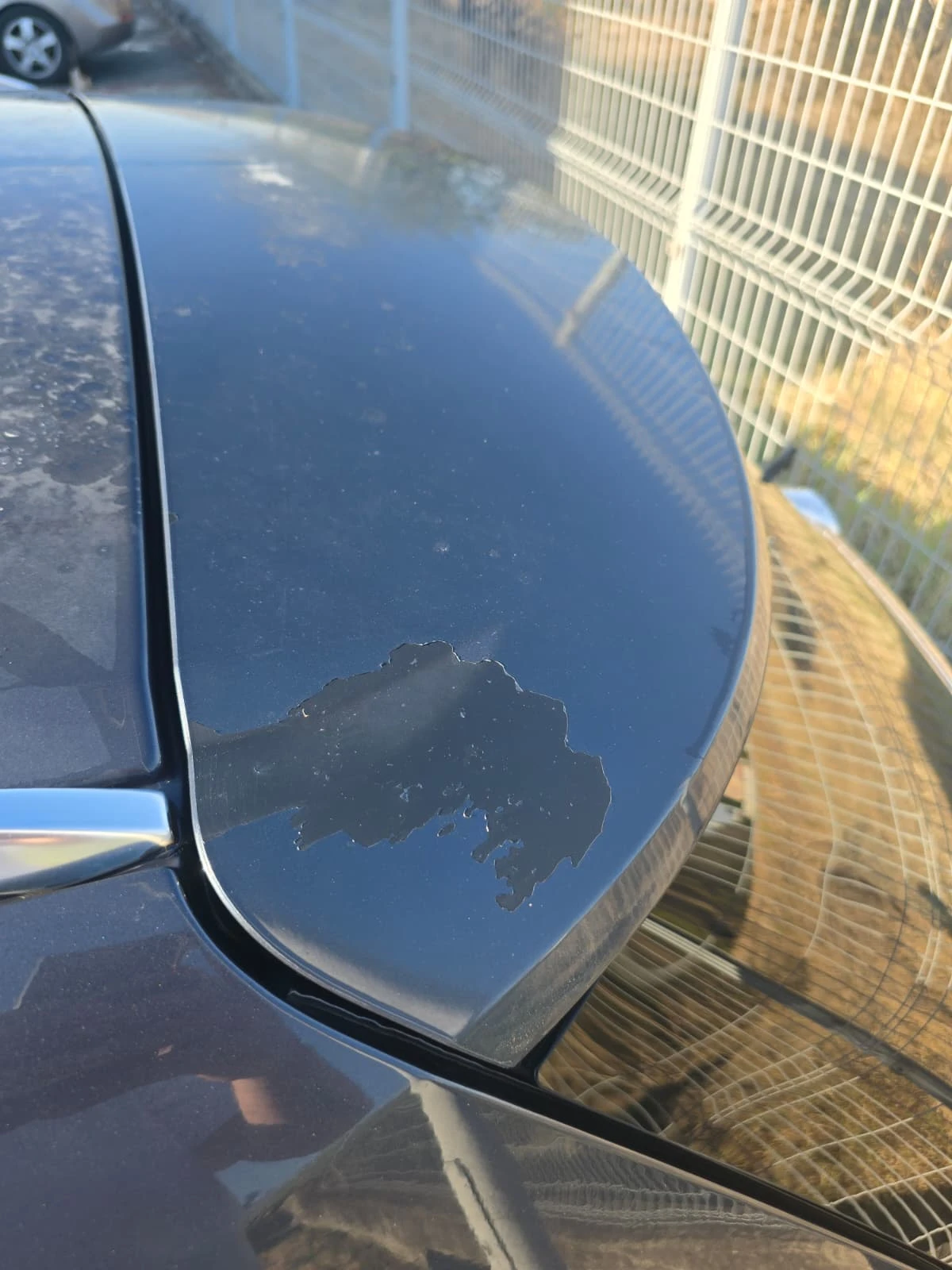 Opel Insignia, снимка 12 - Автомобили и джипове - 56119503