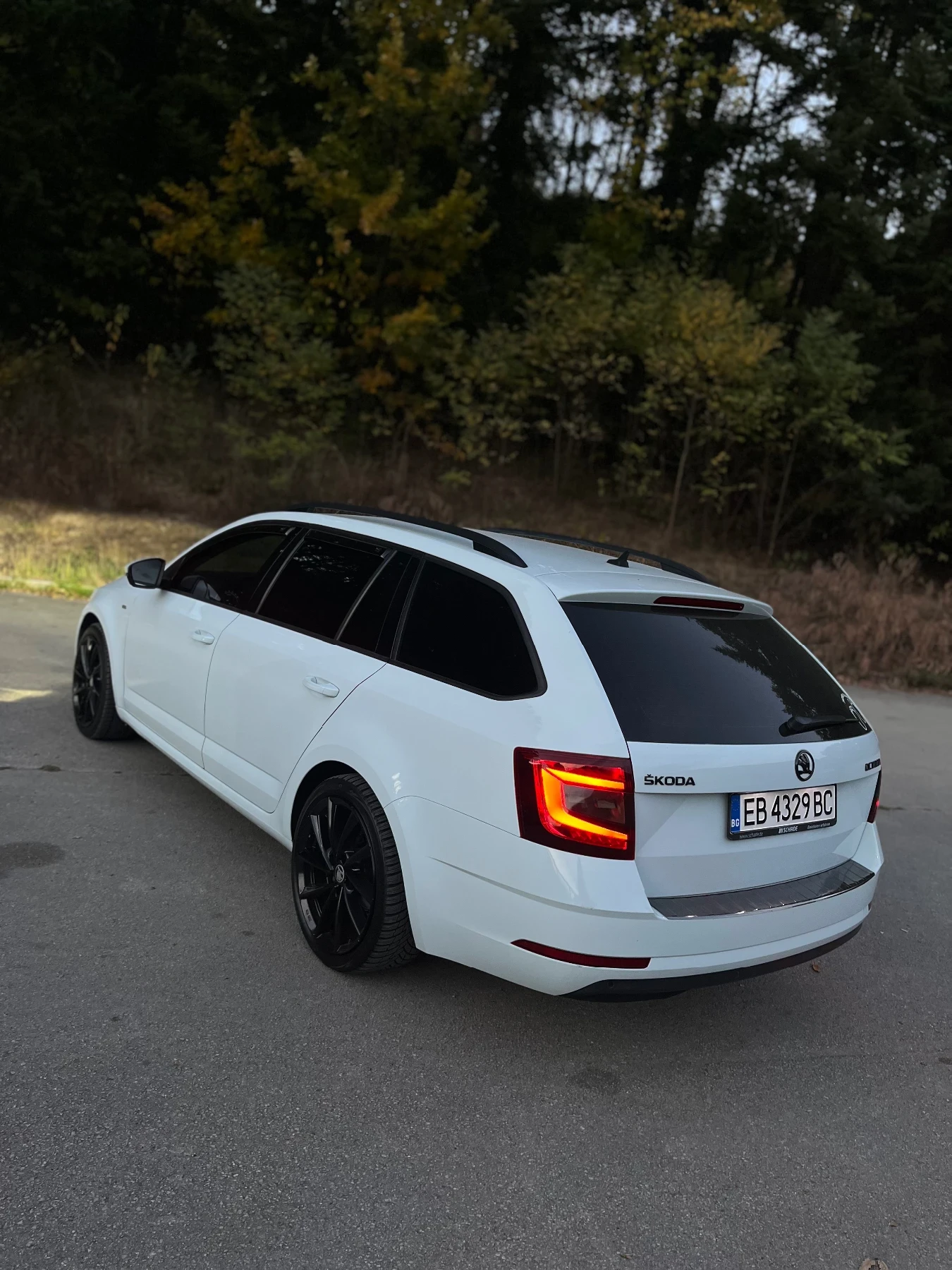 Skoda Octavia, снимка 7 - Автомобили и джипове - 56453386