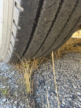 Karosa 731 | Mobile.bg � ����� ������ 8