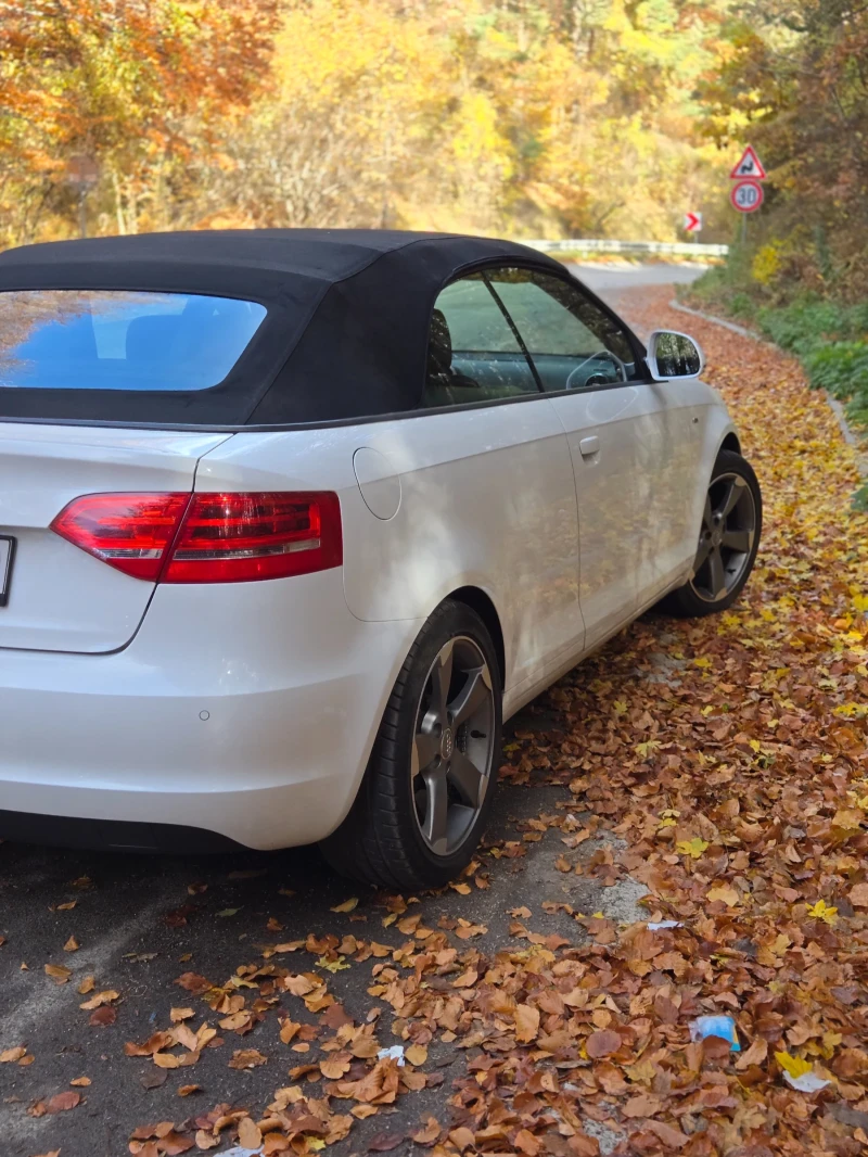 Audi A3, снимка 10 - Автомобили и джипове - 52899796