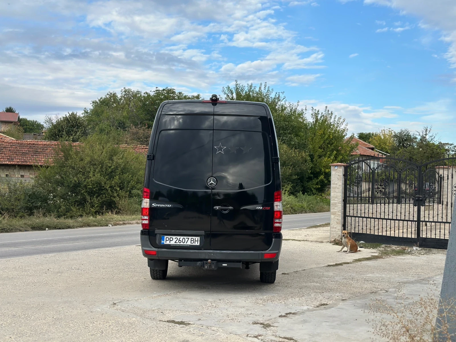 Mercedes-Benz Sprinter 319 8+ 1 VIP - изображение 4