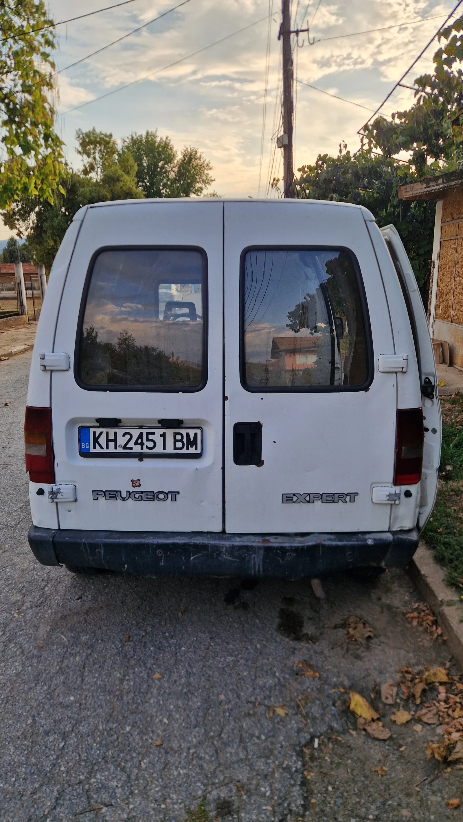 Peugeot Expert Шум в мотора, снимка 4 - Автомобили и джипове - 56023223