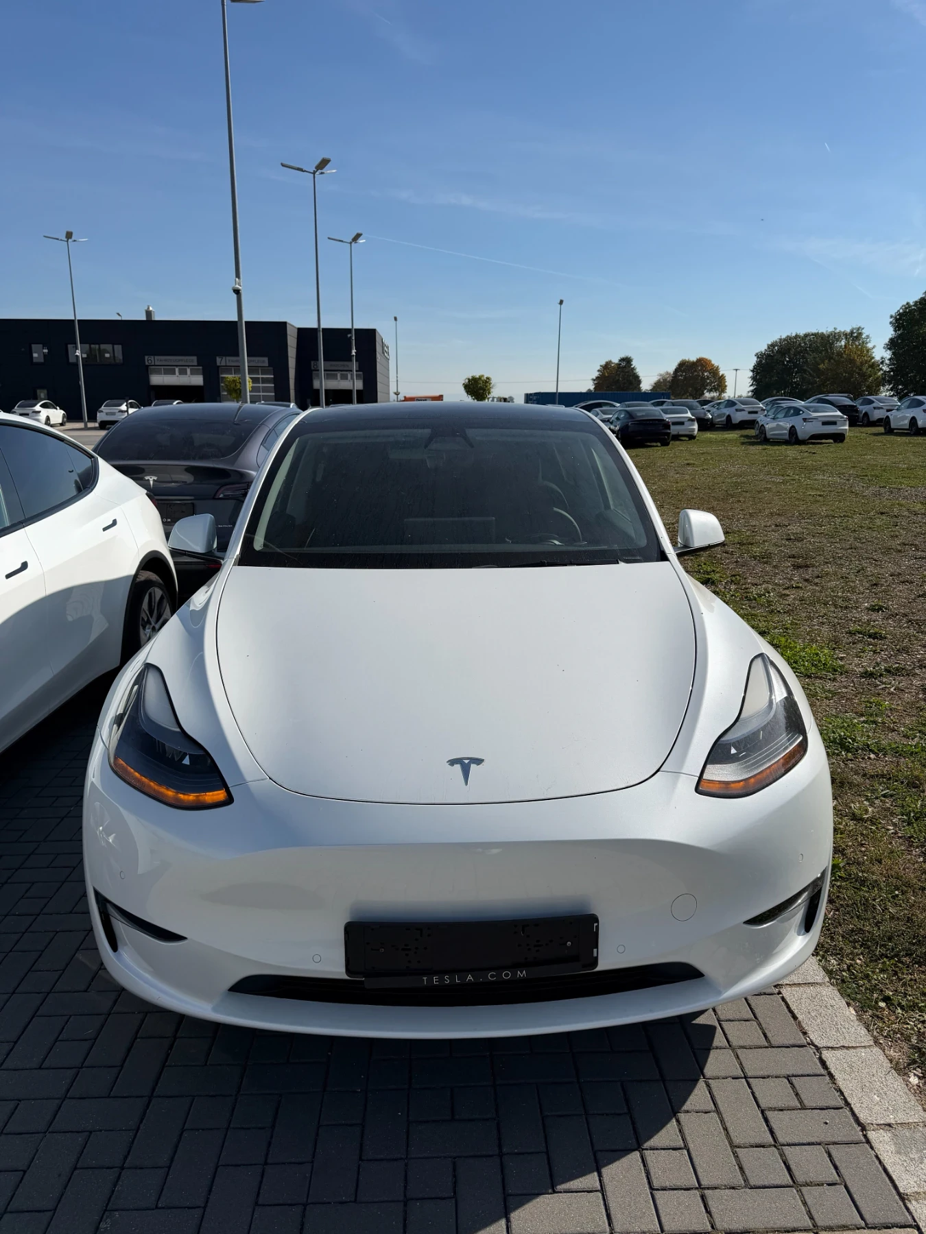 Tesla Model Y Long Range AWD Германия, снимка 1 - Автомобили и джипове - 56339193