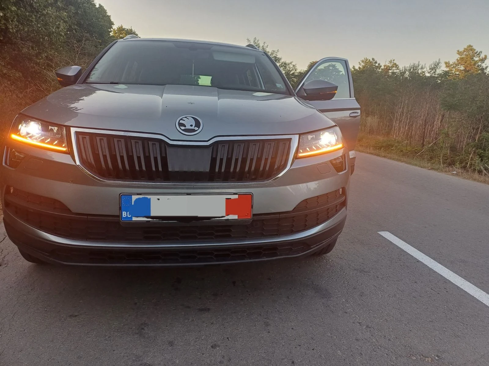 Skoda Karoq DSG!!Full Led!! 150!! | Mobile.bg   2
