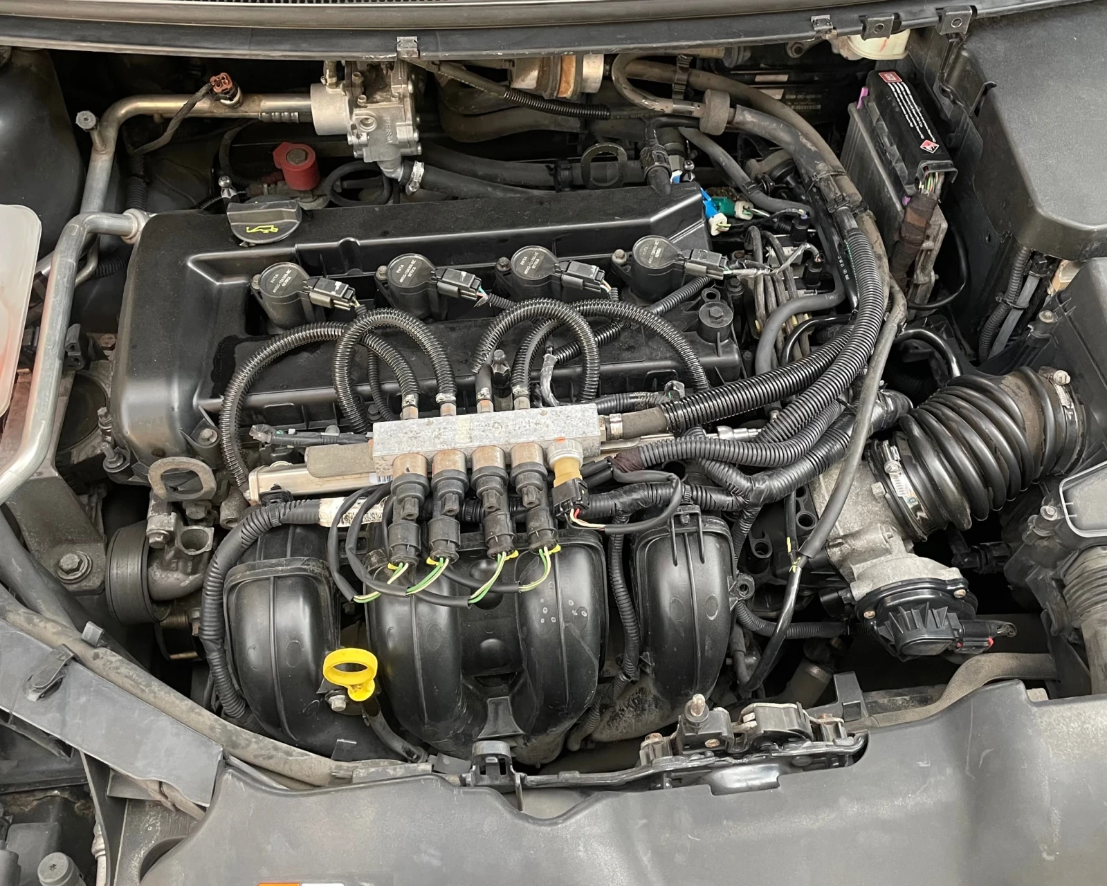 Ford Focus 2.0 145 ГАЗ, снимка 13 - Автомобили и джипове - 55426199