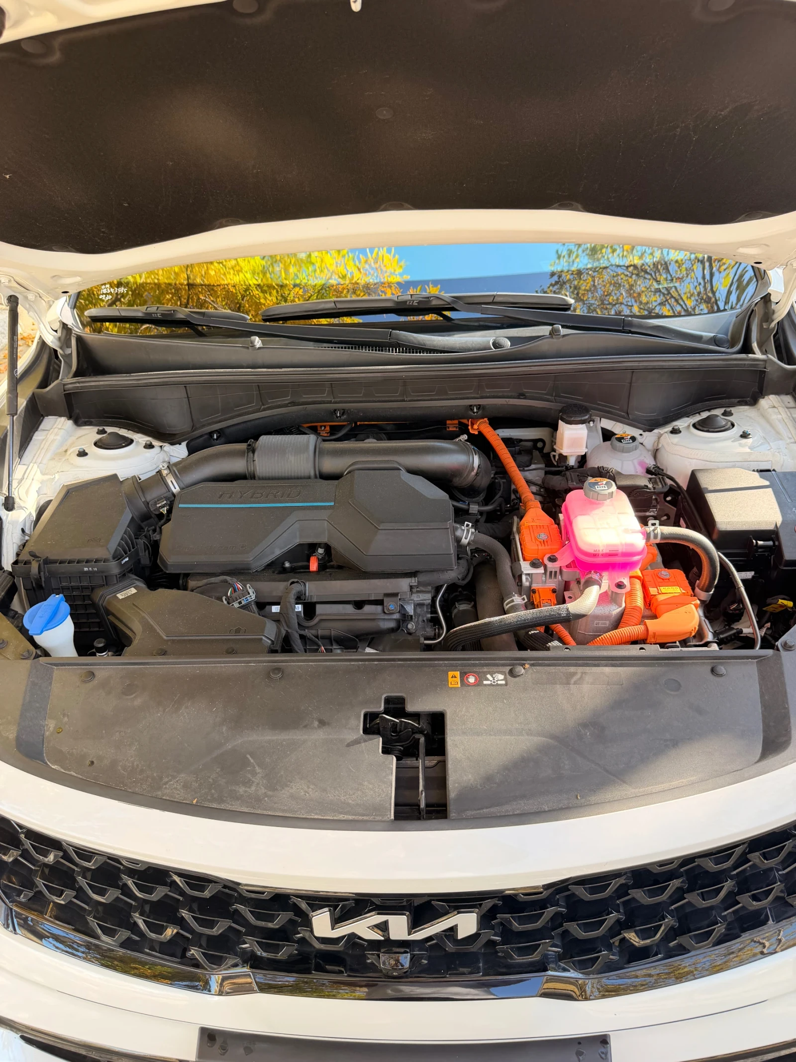 Kia Sorento Hybrid 4x4 Gravity 2023 | Mobile.bg � ����������� 17