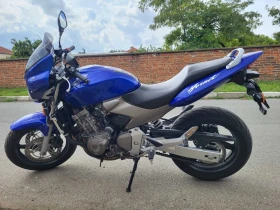  Honda Hornet