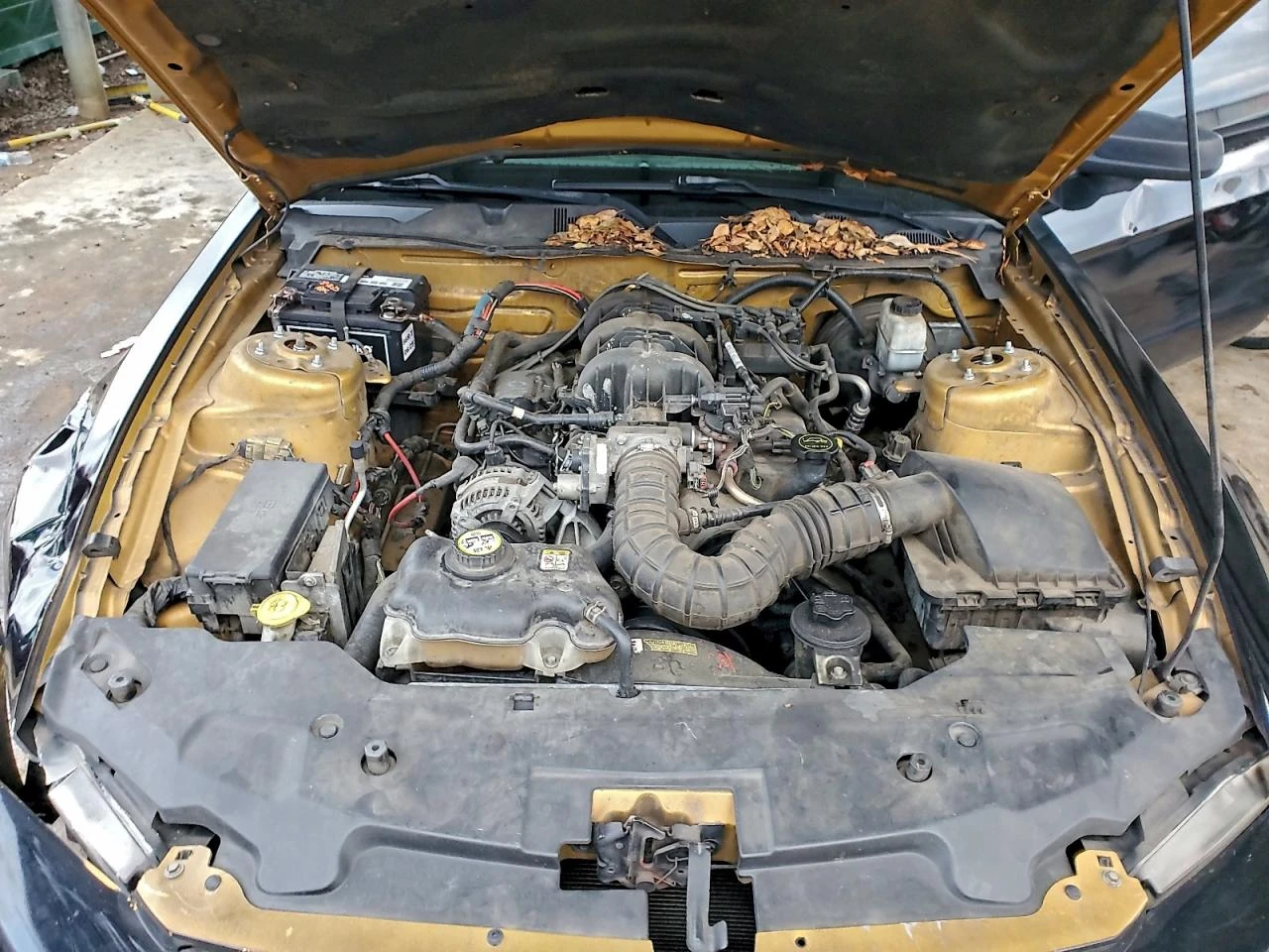 Ford Mustang 4l, снимка 11 - Автомобили и джипове - 53853068