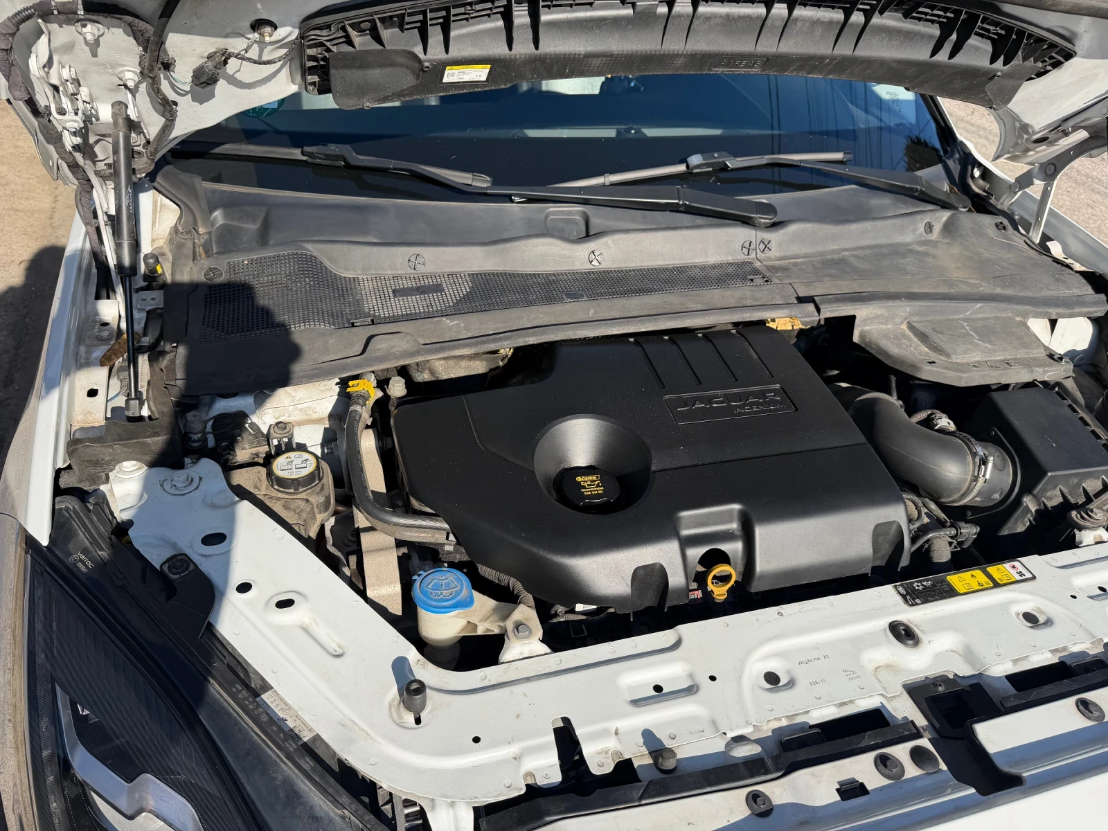 Jaguar E-pace ���� ���! | Mobile.bg � ����������� 8