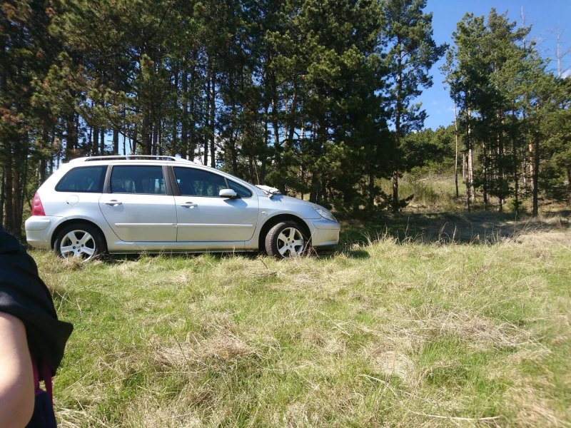 Peugeot 307 Sw, снимка 3 - Автомобили и джипове - 48744436