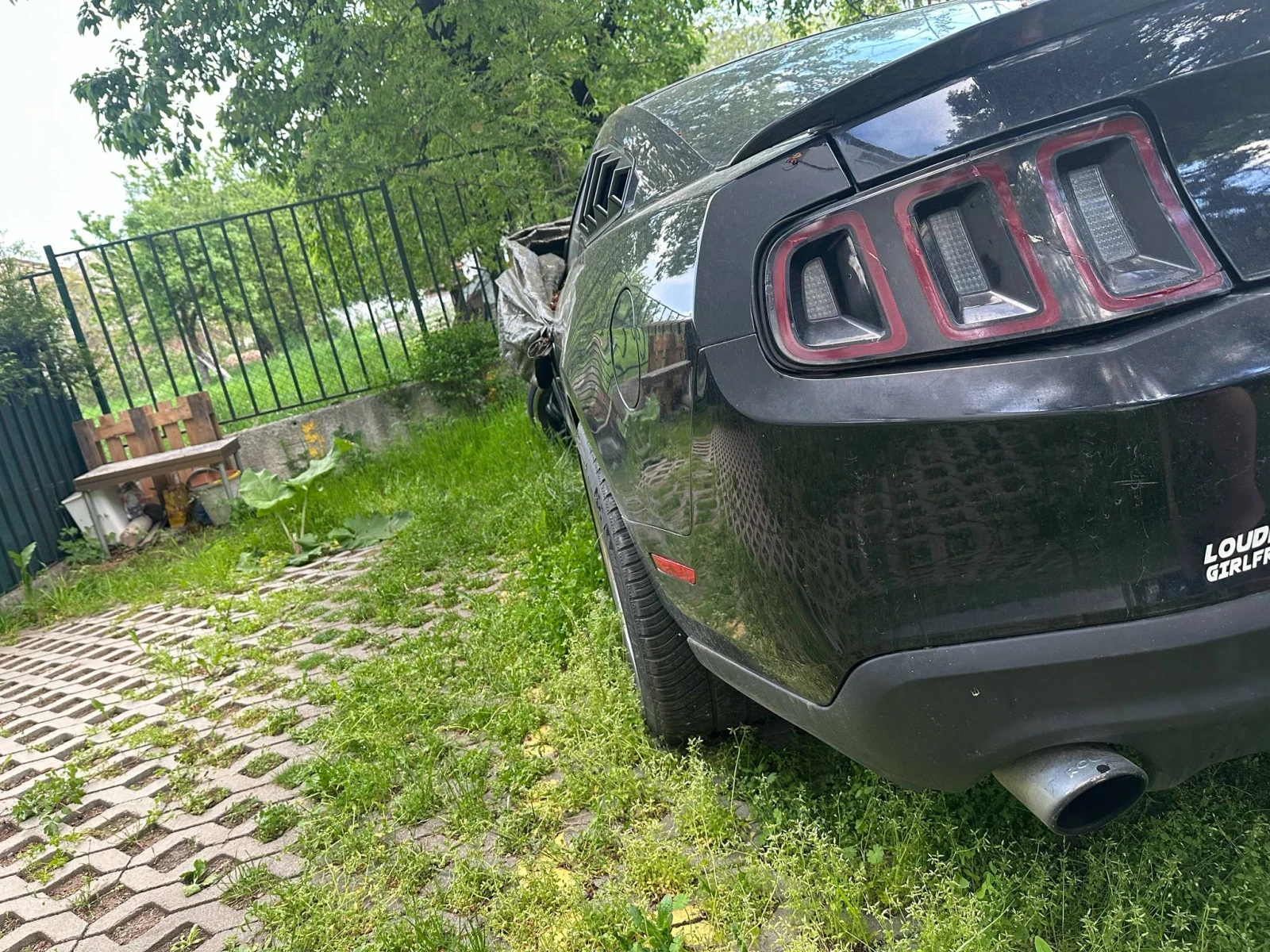 Ford Mustang  - изображение 4