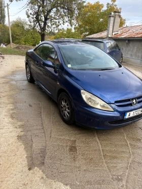 Peugeot 307 | Mobile.bg    2