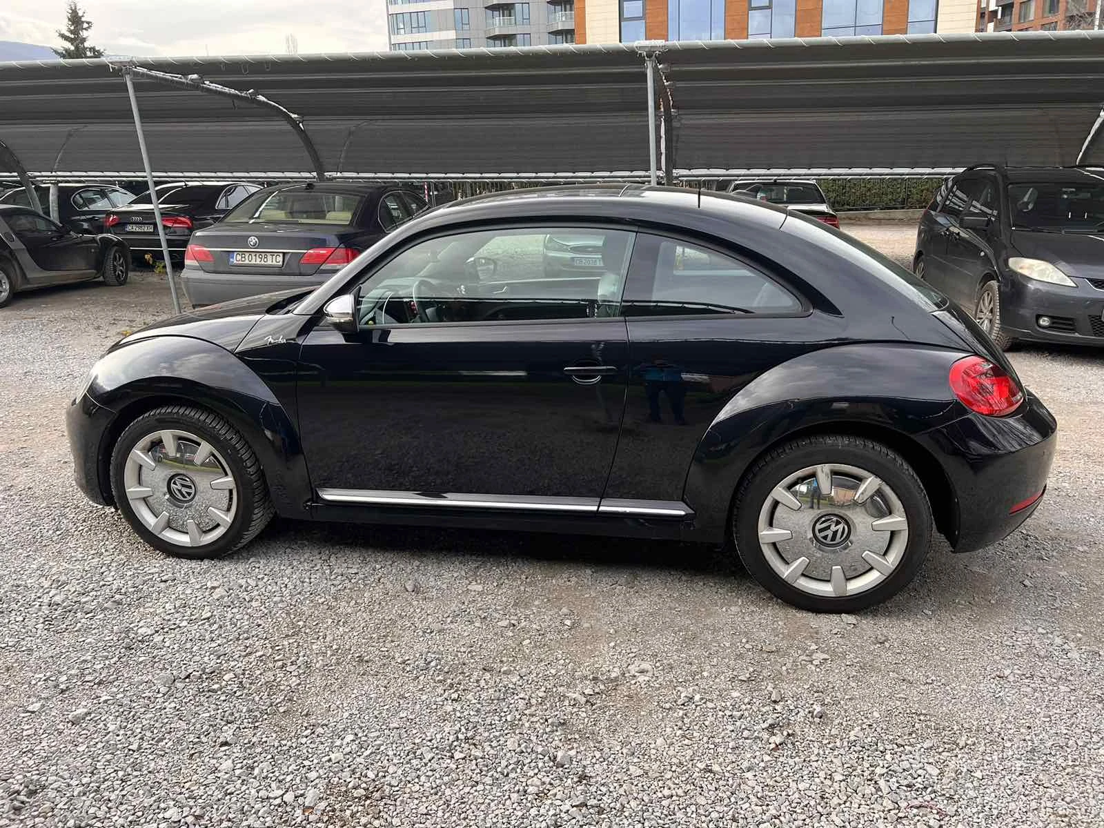 VW Beetle  - изображение 8