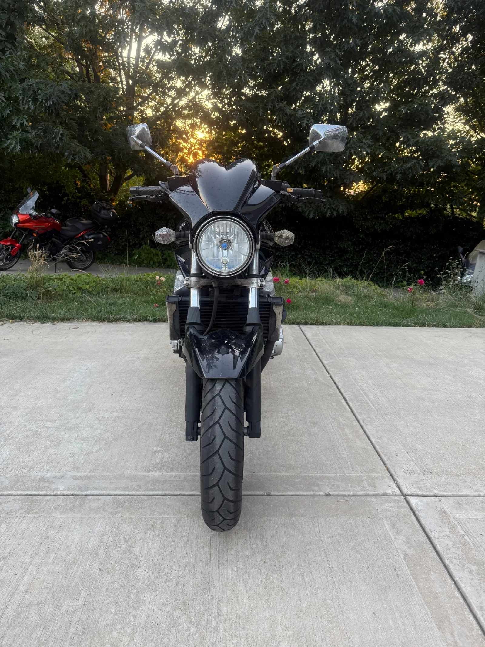 Suzuki Bandit  - изображение 3