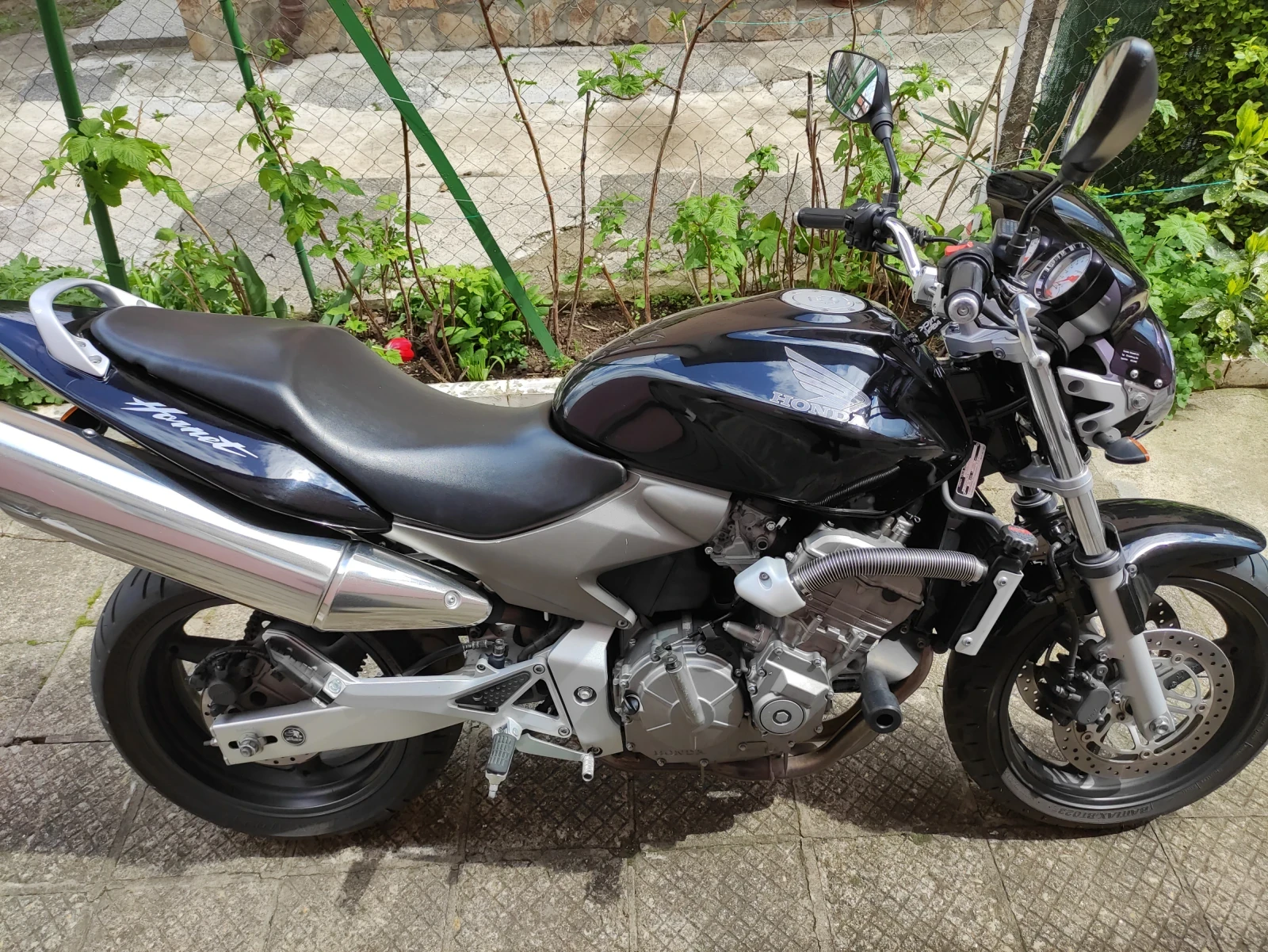 Honda Hornet 600 - изображение 8