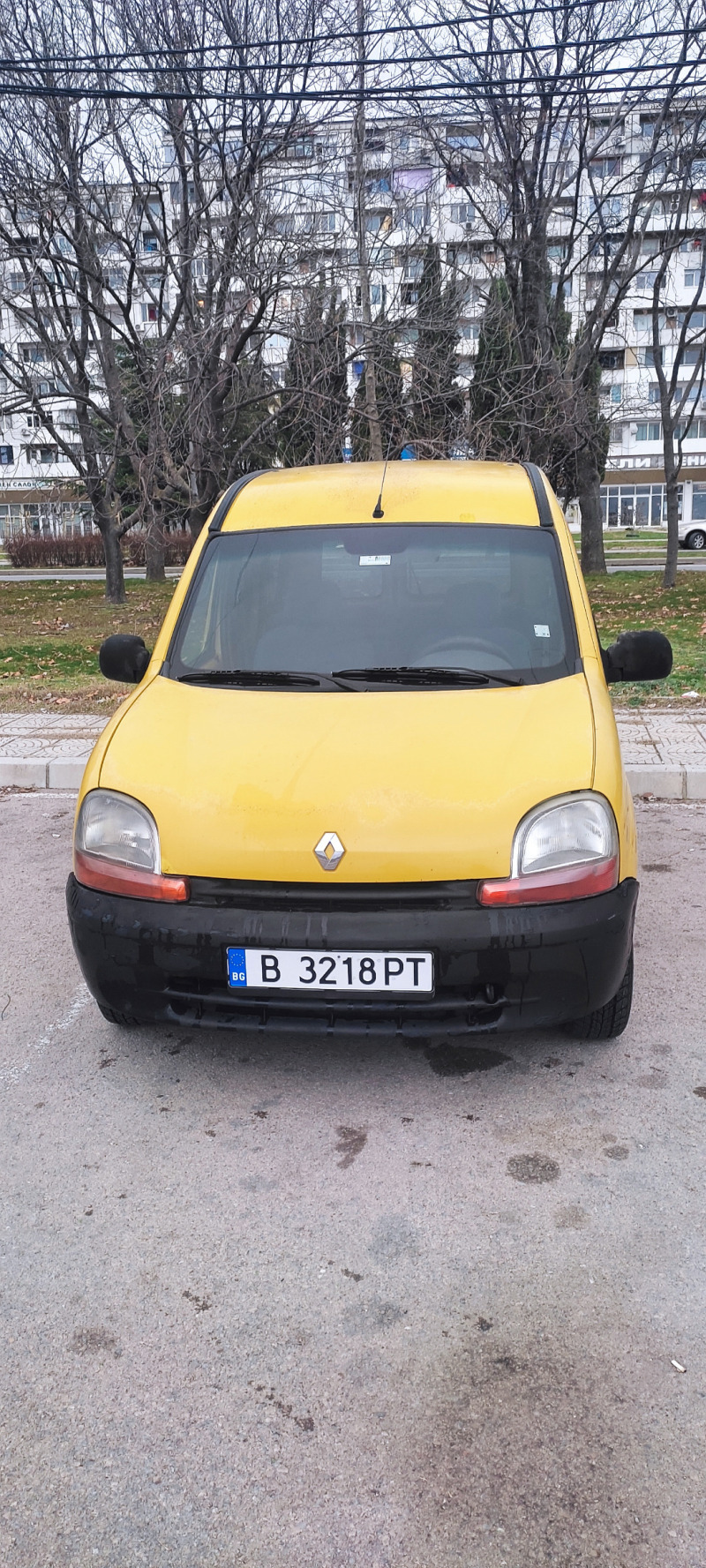 Renault Kangoo, снимка 1 - Автомобили и джипове - 45580702