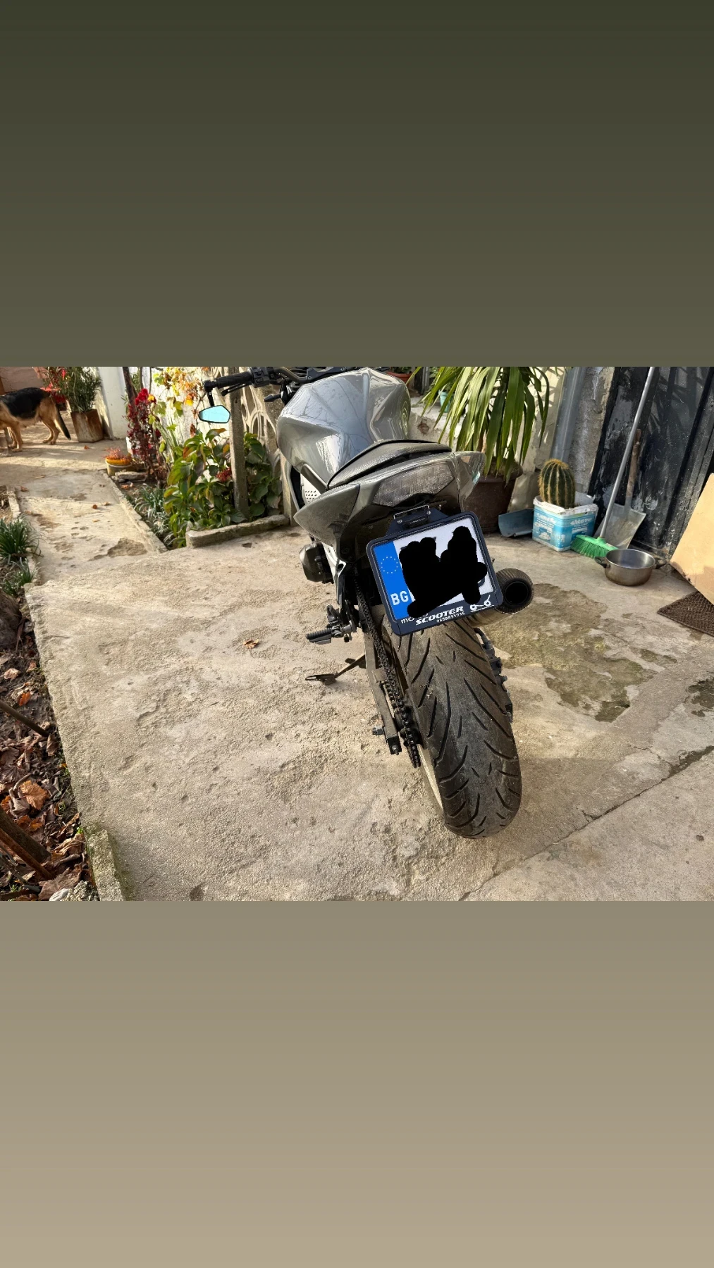 Kawasaki Z  - изображение 7