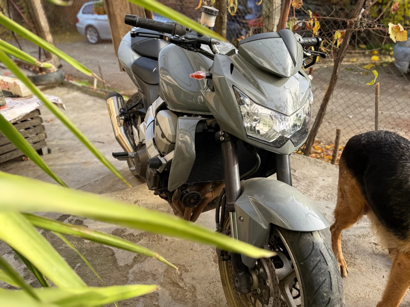 Kawasaki Z  - изображение 5