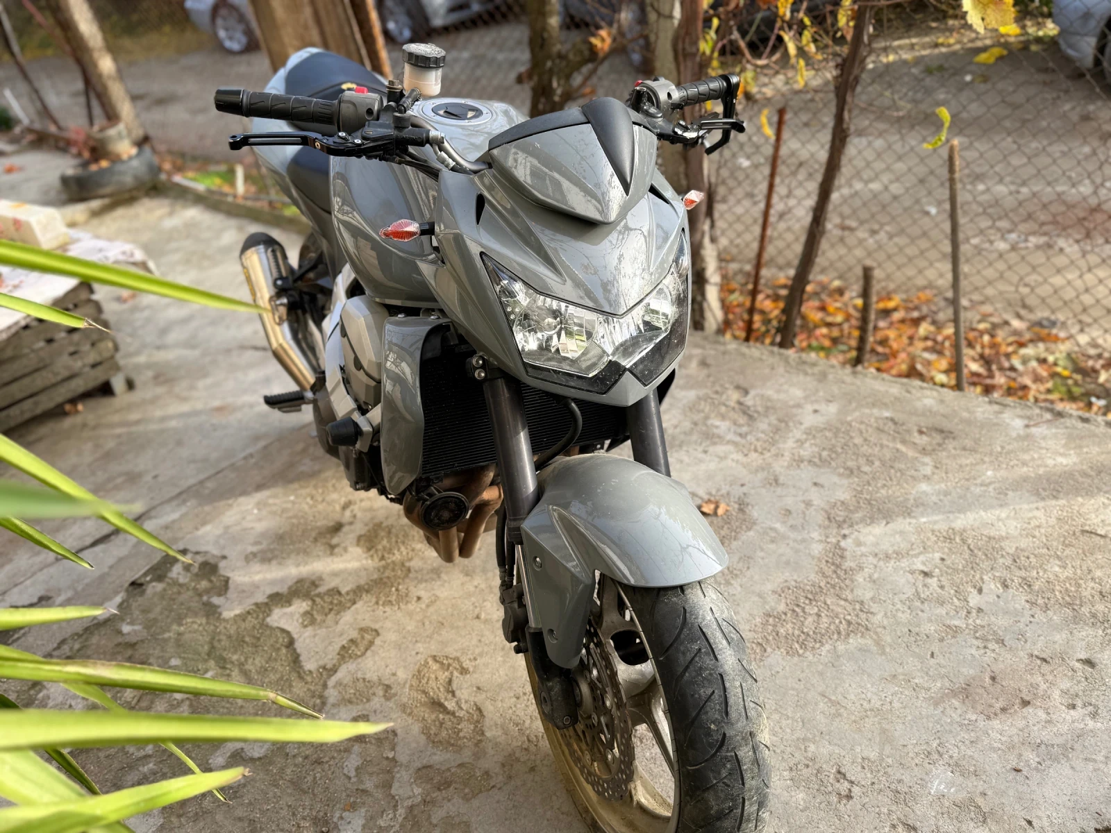 Kawasaki Z  - изображение 4