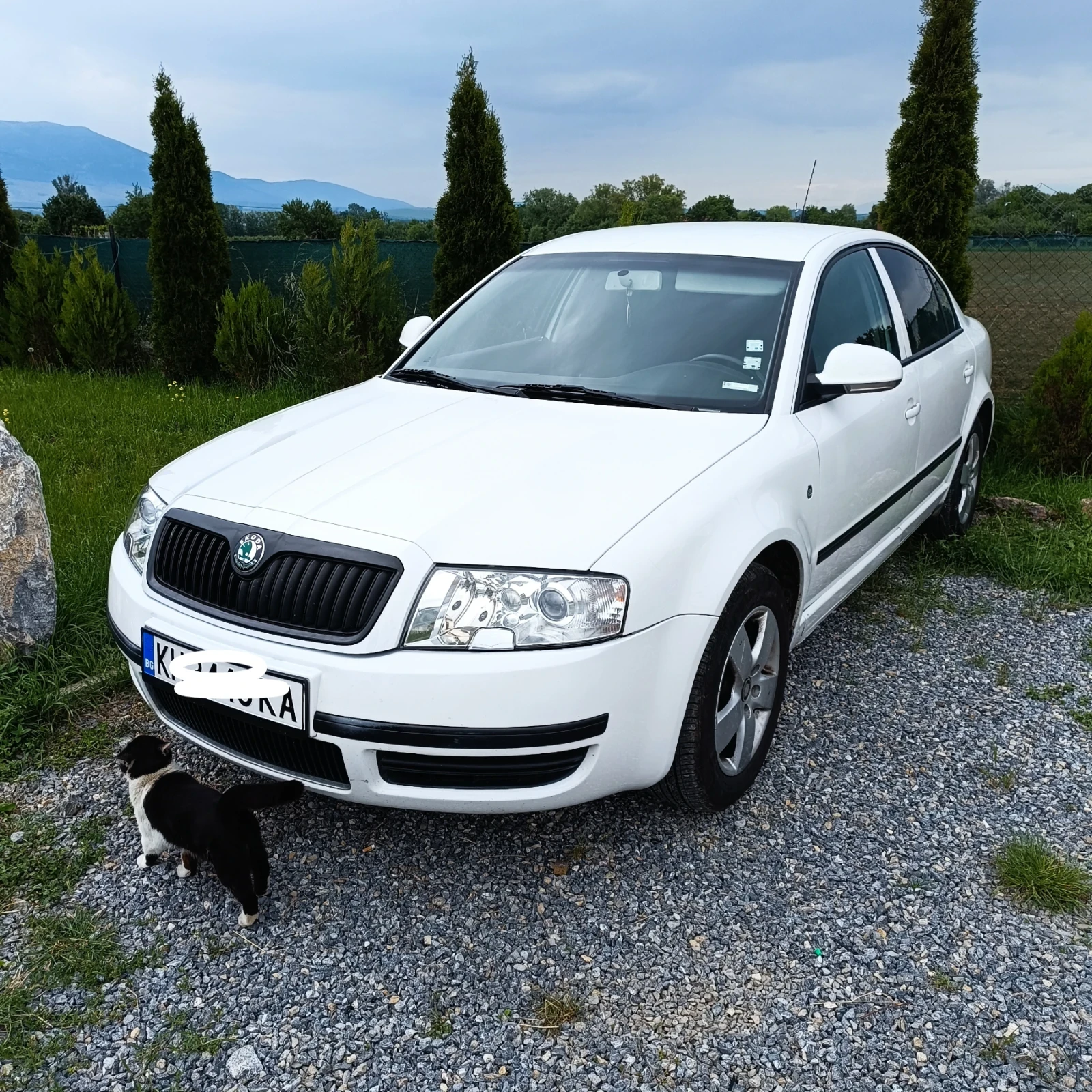 Skoda Superb 1.9 - изображение 2