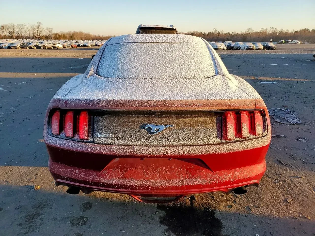 Ford Mustang, снимка 6 - Автомобили и джипове - 53811845