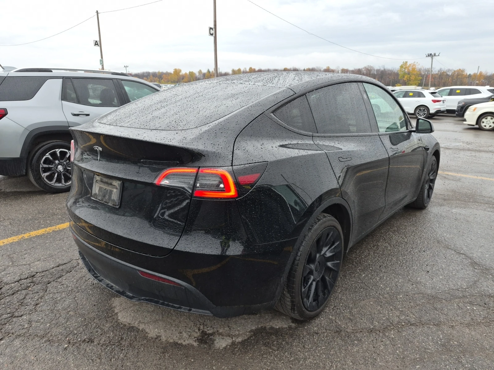 Tesla Model Y RWD * LTD AVAIL* , снимка 3 - Автомобили и джипове - 56716123