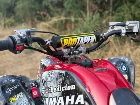 Yamaha Raptor 700 Special Edition  | Mobile.bg    6