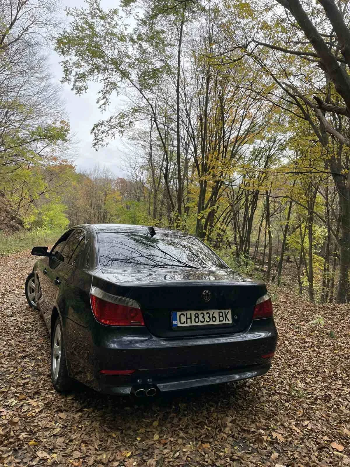BMW 530 BMW 530D 231hp | Mobile.bg — изображение 7