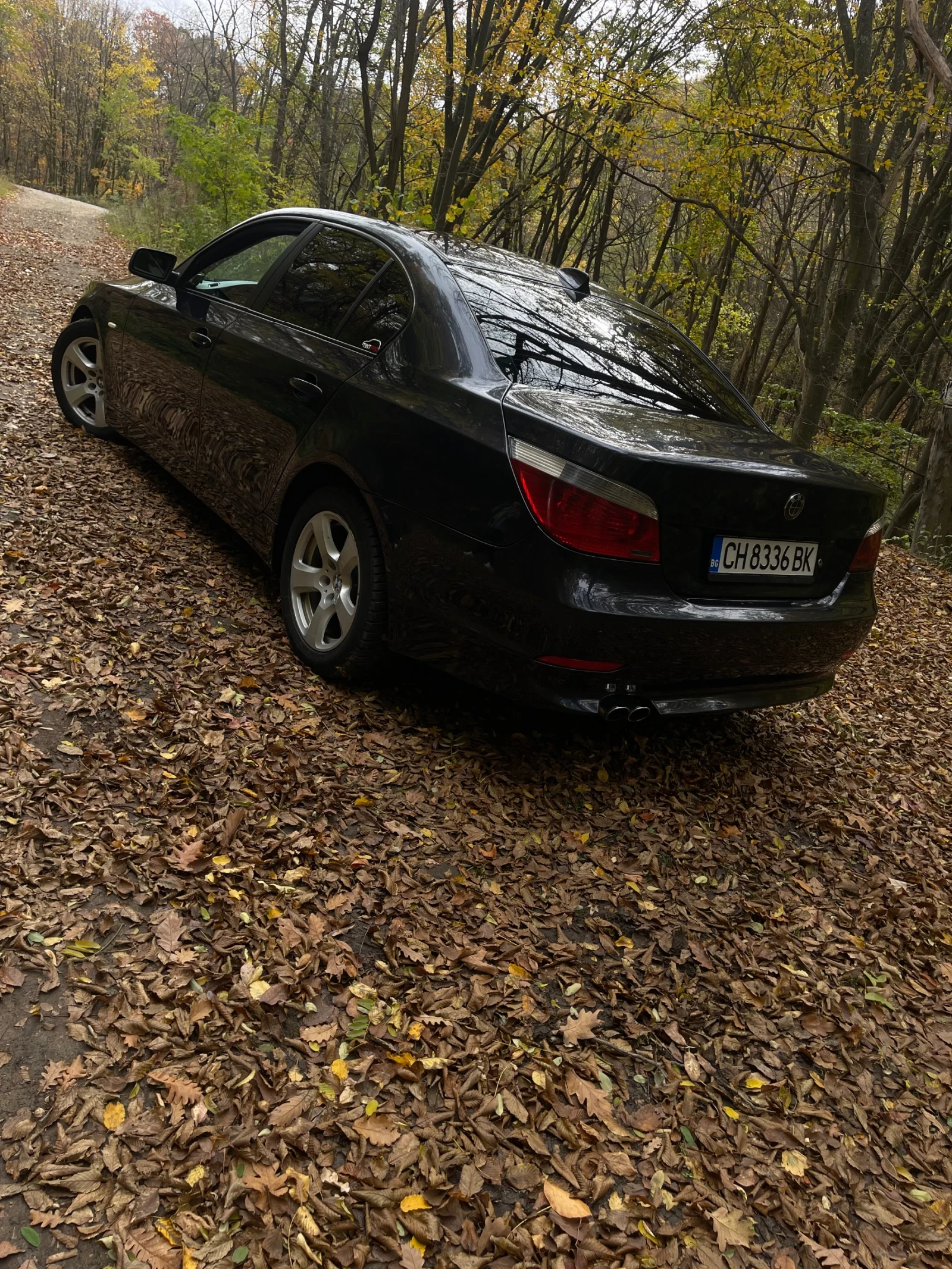 BMW 530 BMW 530D 231hp | Mobile.bg — изображение 6