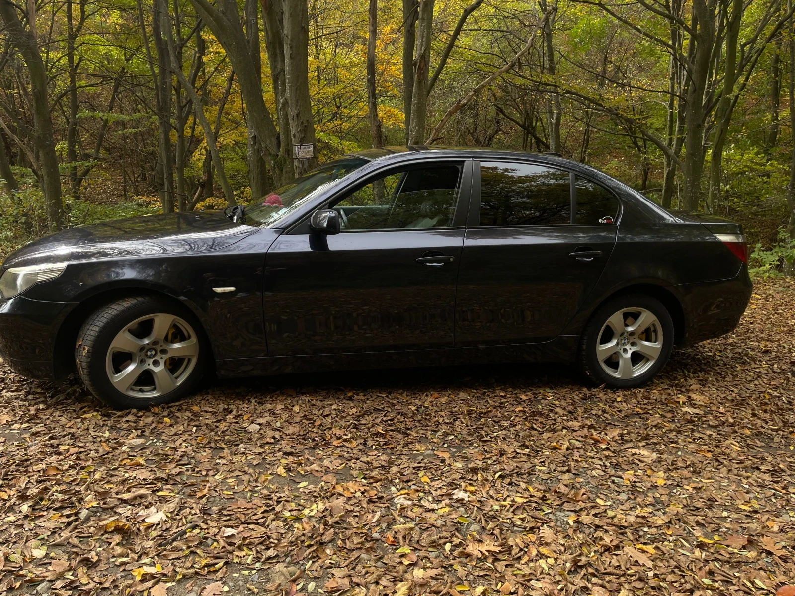 BMW 530 BMW 530D 231hp | Mobile.bg — изображение 4