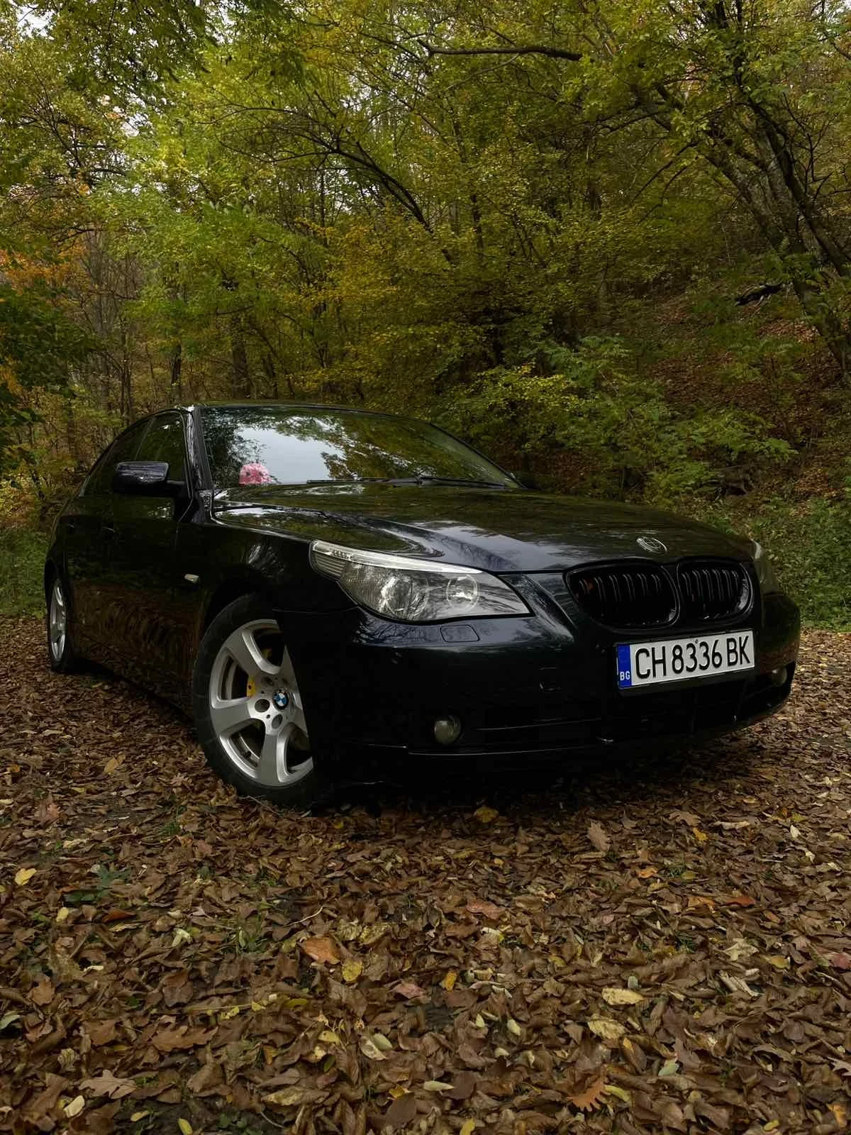 BMW 530 BMW 530D 231hp | Mobile.bg — изображение 2