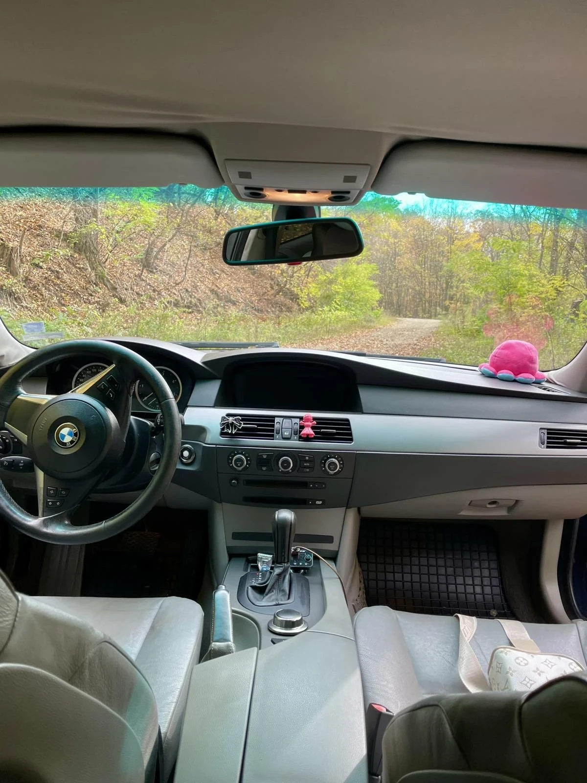BMW 530 BMW 530D 231hp | Mobile.bg — изображение 9
