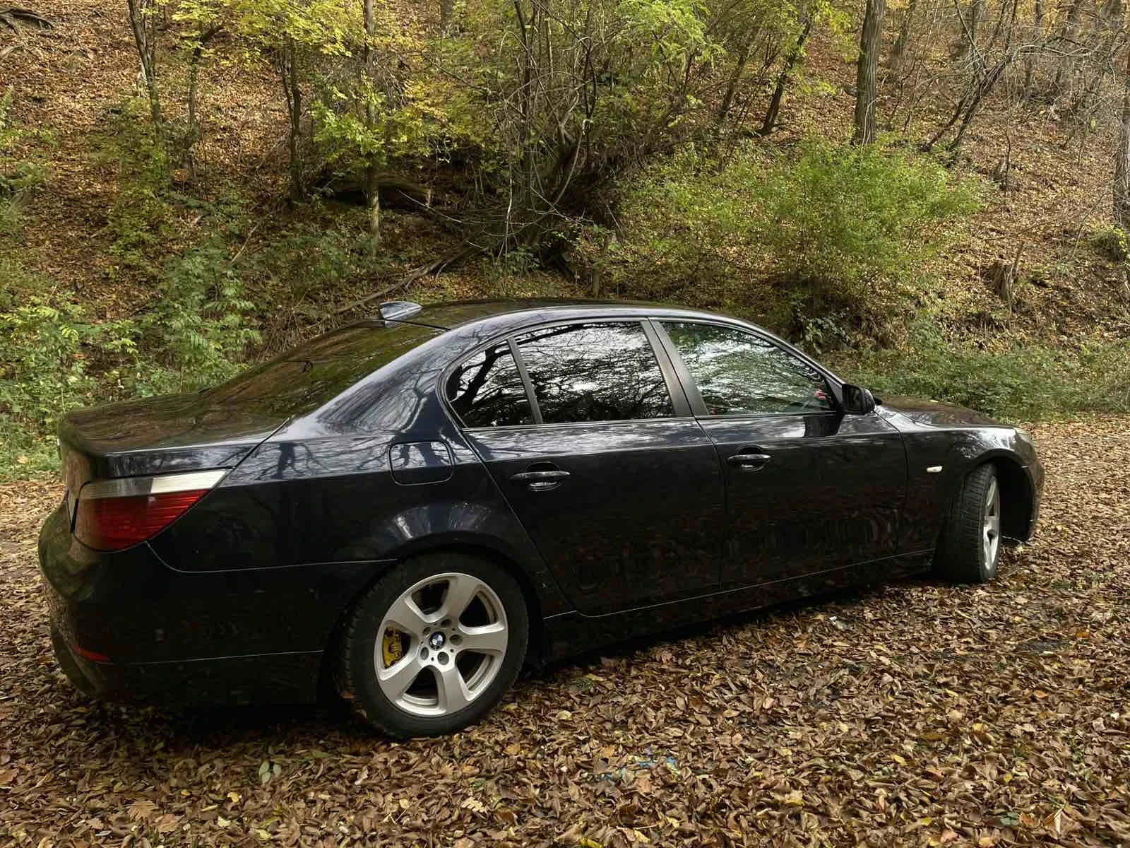 BMW 530 BMW 530D 231hp | Mobile.bg — изображение 5