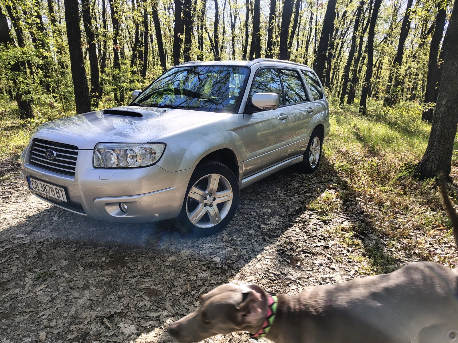 Subaru Forester 2.5ХТ, снимка 11 - Автомобили и джипове - 54317760