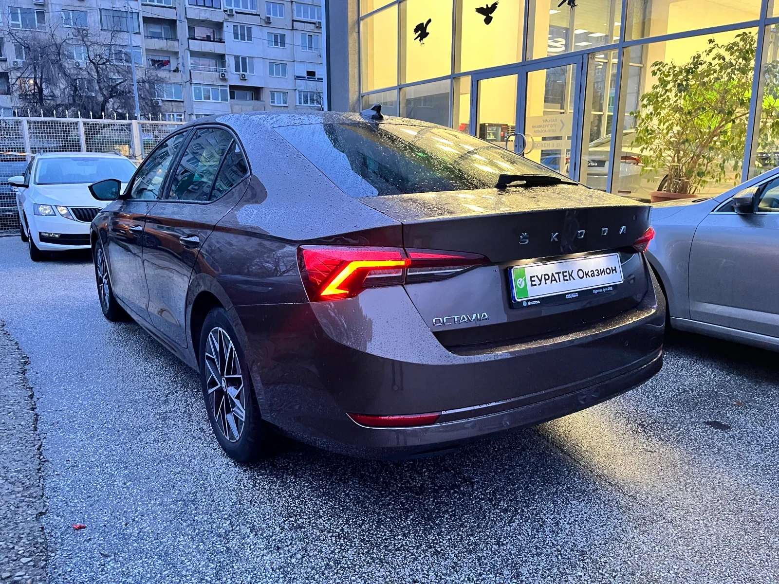 Skoda Octavia 2.0TDI 7DSG  - изображение 4