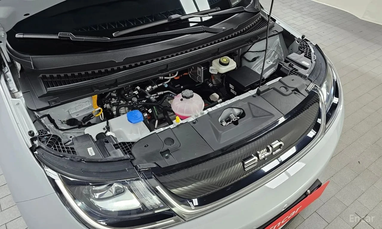 BYD Dolphin * Base *  | Mobile.bg � ����������� 6