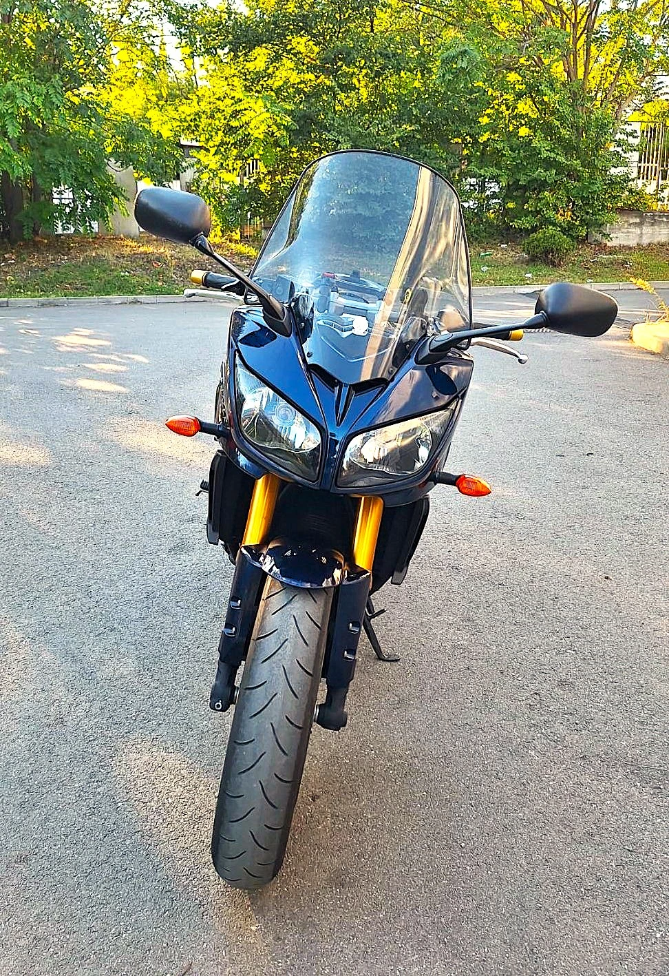 Yamaha FZ1 FAZER, снимка 8 - Мотоциклети и мототехника - 56220989