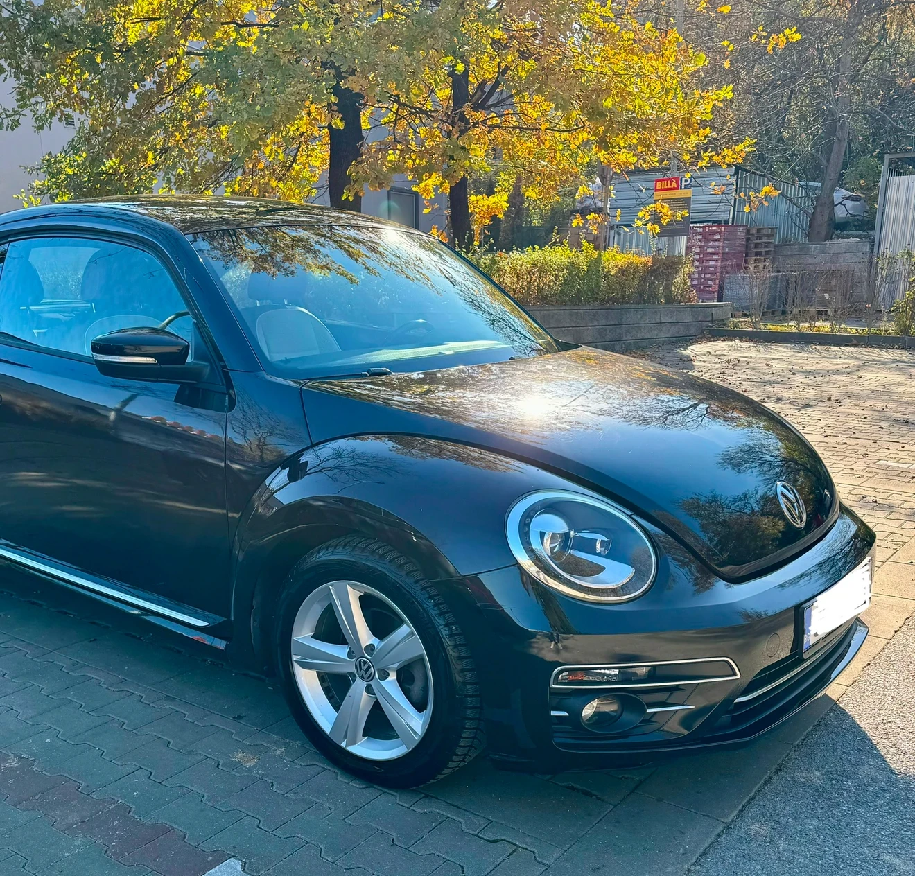 VW New beetle  - изображение 4