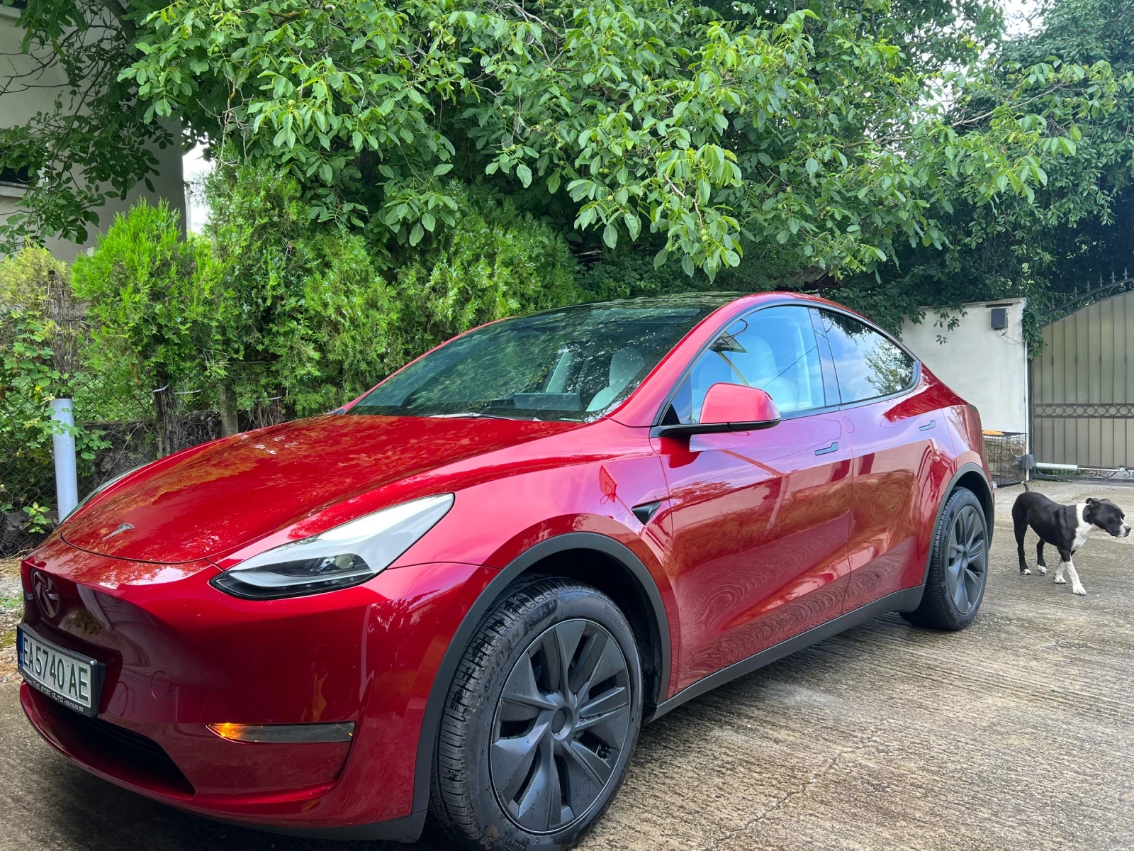Tesla Model Y LONG RANGE RWD