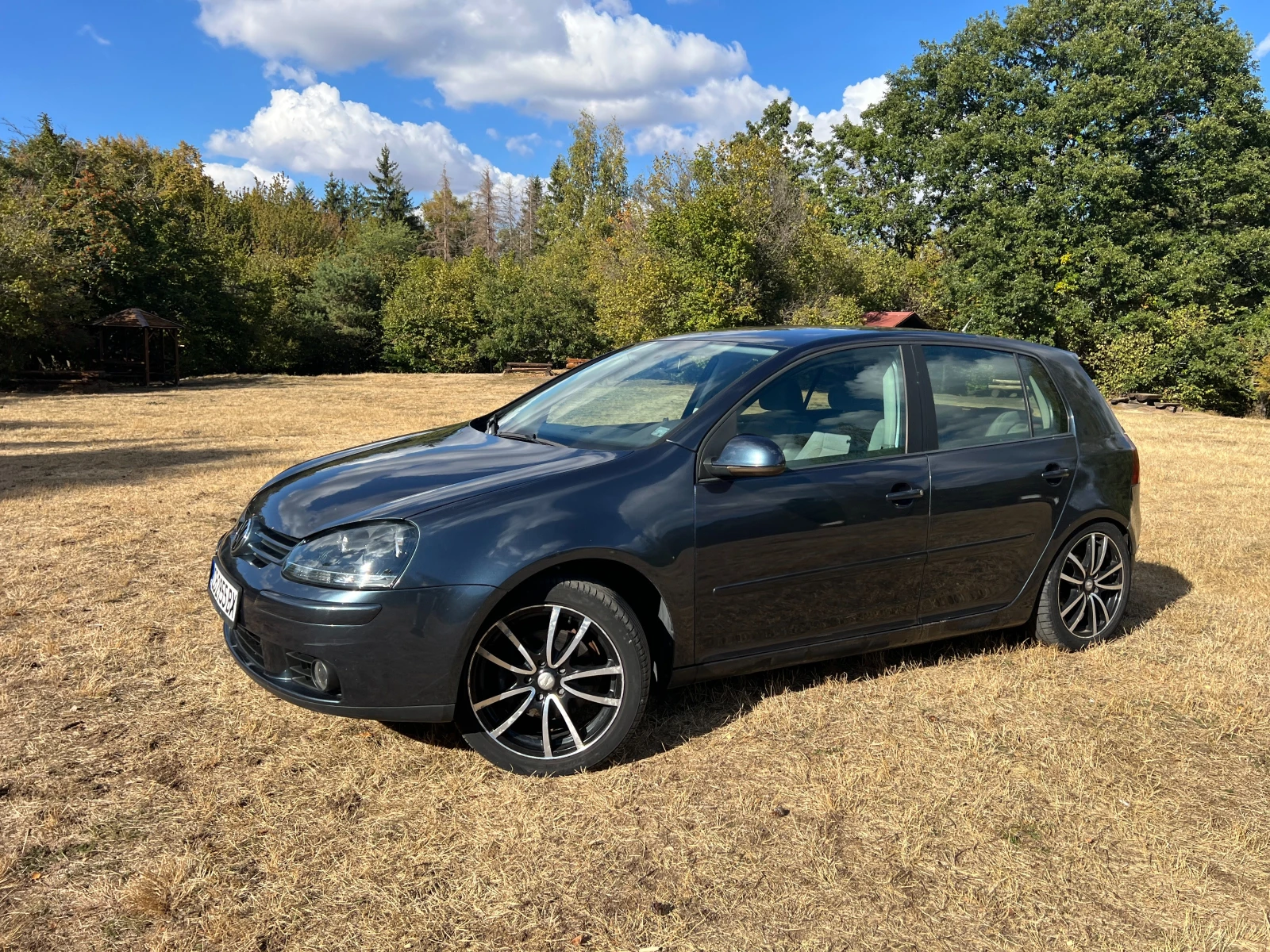 VW Golf 5, снимка 2 - Автомобили и джипове - 56261140