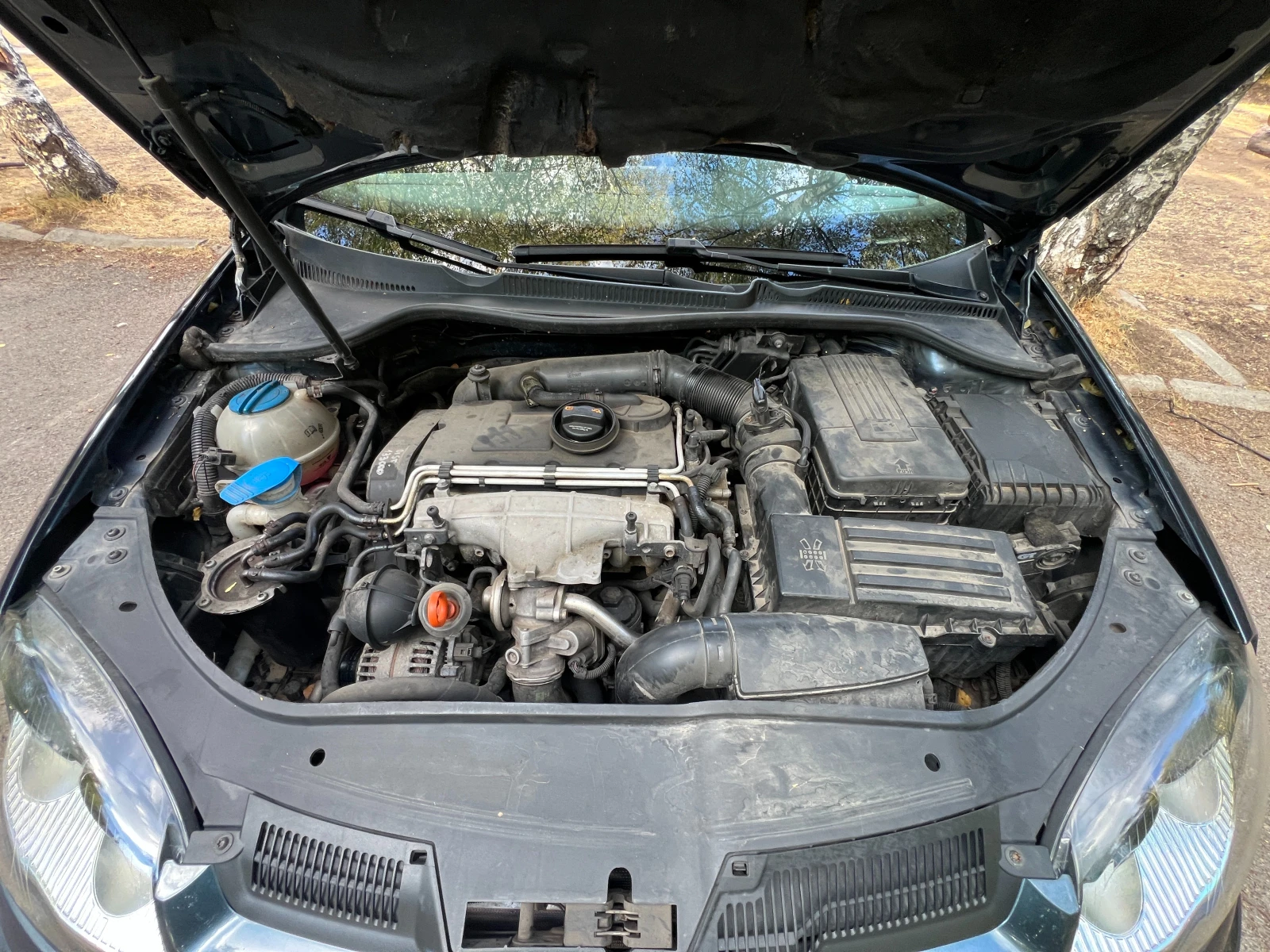 VW Golf 5, снимка 15 - Автомобили и джипове - 56261140